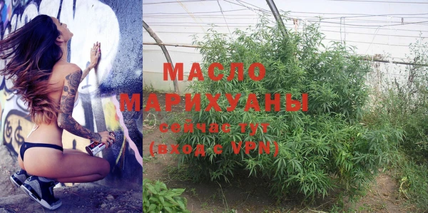 молекула духа Заводоуковск
